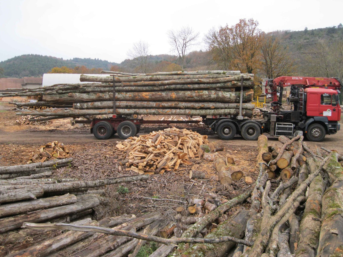 Camion de 60 stères, Hêtre Chêne Charme en grume